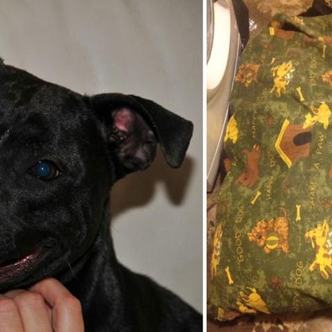 窒息的悲鸣值得换吗？深度解析毕业首饰与实战配装