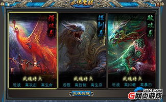 武魂论坛热议，2025-2026魂环搭配与PVP阵容实战全攻略