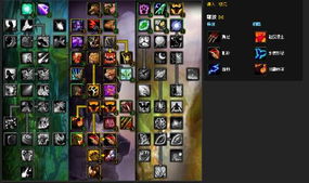 2026魔兽鸟德输出手法全解，蓝龙德循环与配装实战