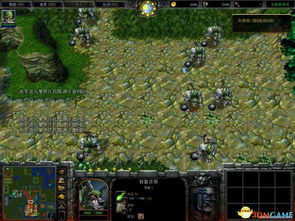 新金庸群侠传攻略，2026最强开局与隐藏武功获取全解析