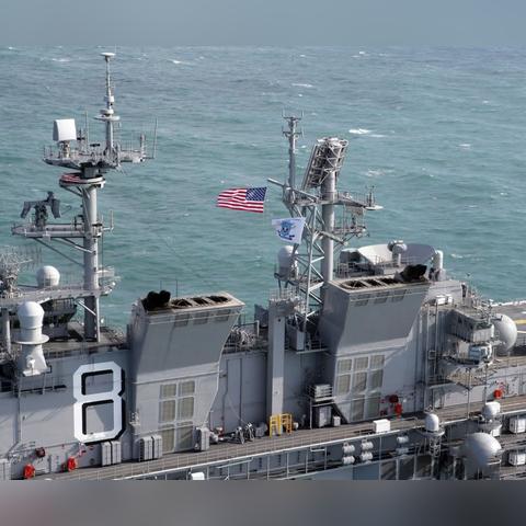 美国种马怎么选？最强类型与实战搭配全解析