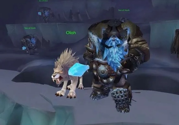 黑锋骑士团声望奖励，头部附魔与稀有坐骑获取攻略