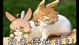 2025爱妮格异格深度解析，模组升级与肉鸽配队实战指南