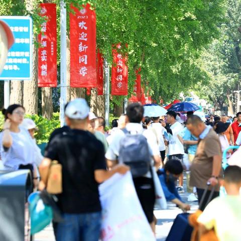 sf123传奇哪个服好玩？揭秘2026年单职业高倍攻速版