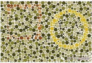 巫师色情卡片为何和女角色对不上？设计师色盲所致