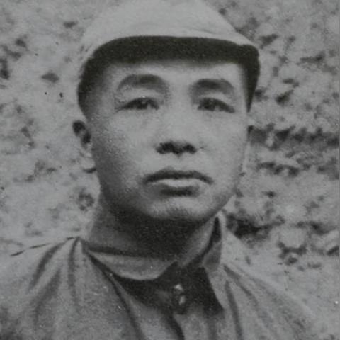 大将军怎么玩？零氪金也能霸服的布阵与资源掠夺秘籍