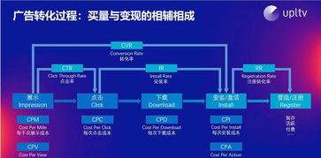 2026年彩虹岛小草论坛独家搬砖攻略与全职业收益实测