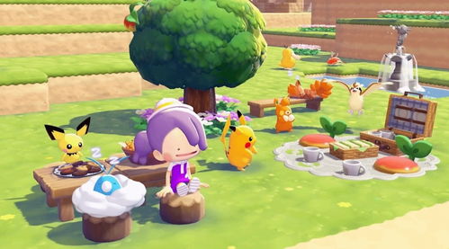 宝可梦Pokopia容量多大？实体下载卡泄露信息曝光