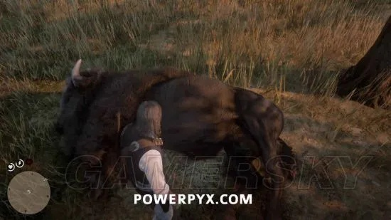 荒野大镖客2传说动物全收录，如何一枪定乾坤拿完美皮毛？