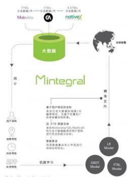 R11类型深度解析，如何精准匹配热门需求与实战应用