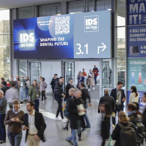 梦幻西游剧情任务怎么刷最赚？2025最新通关与收益全攻略