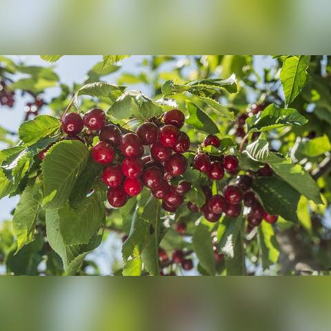 异环4月29日多平台发售 国产开放世界RPG值得蹲吗？