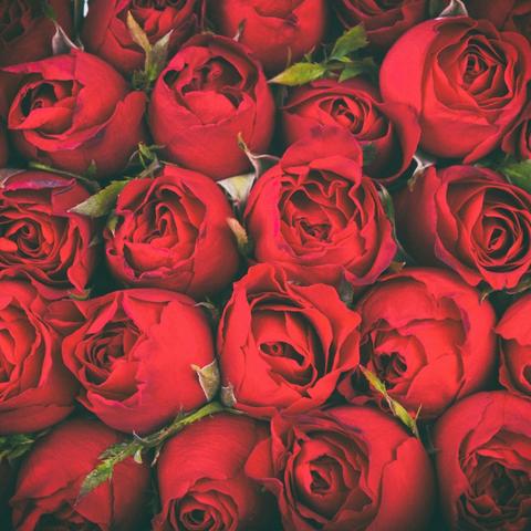 甜蜜上线！《第五人格》情人节主题活动已开启