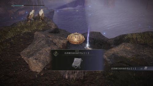 如何抵达旅途的终点？艾尔登法环米凯拉锋刃获取与通关指南