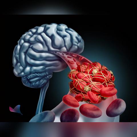 憋尿能提升游戏水平？研究称膀胱控制状态减少冲动