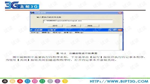 杨京亚Mik类型实战解析，从入门到精通的终极攻略
