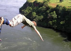 蹦极惨遭鳄鱼咬头？揭秘极限运动最恐怖的死亡瞬间