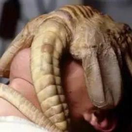 异形繁殖冲击全类型解析，如何应对不同敌人的致命攻击？