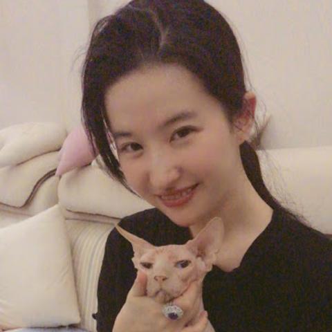 暗黑之门好玩吗？2025终局收益实测与BD搭配全解