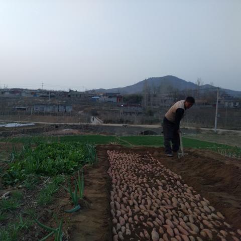 老火炕怎么搭才最热？揭秘回龙炕搭建原理与改造实战