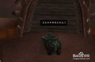 魔兽奥格瑞玛全攻略，部落主城怎么去？副本与隐藏点详解