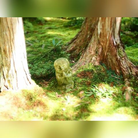 昭和米国物语实战攻略，如何在丧尸横行的昭和美国活下去？