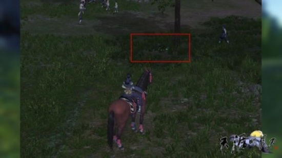 虐2黑网追踪全解，如何利用猎人技能精准锁定隐藏据点？