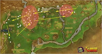 魔兽采矿全攻略，揭秘1-800极速升级与高效赚金路线