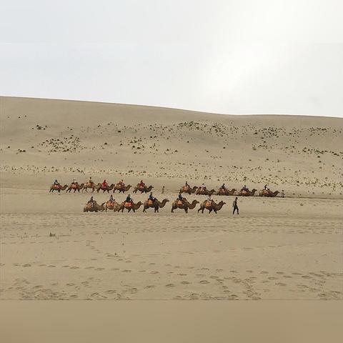 揭秘丝路传说私服发布网内幕，老手教你避开死服与骗局