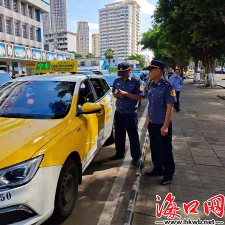 海岛大亨3赚钱秘籍，独家解析建材获取与高效布局策略