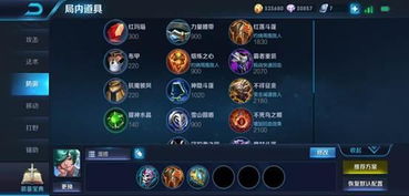 刘表出装全攻略，如何把自守玩成T0级辅助？