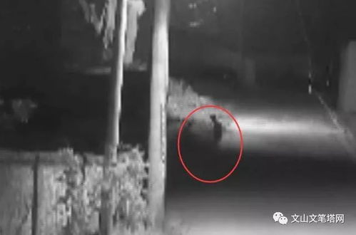 夜蒲老鸟不说的潜规则，从酒吧选座到避坑全实战