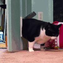 红色沙漠全平台愿望单破300万！3月20日发售速参与