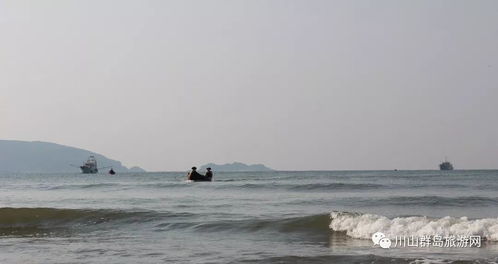 2026年捕鱼海岛类型大盘点，新手必看的选岛避坑指南