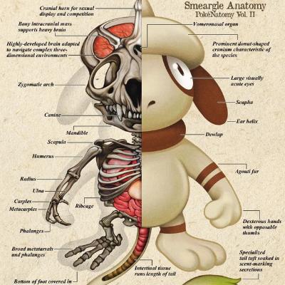 《宝可梦：风/波》画面更精细反被批：不需要这么真实
