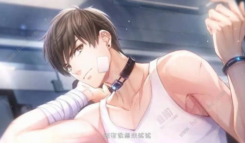 白石茉莉奈第四部资源在哪？深度解析画质与剧情看点