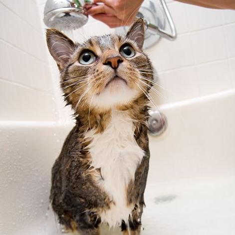 对话拖沓？红色沙漠支持对话两倍速快进适配短视频玩家