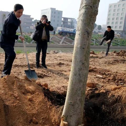 第五人格植树节活动今日返场，庄园播种绿意正当时
