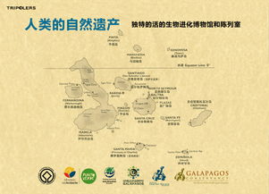 揭秘美国国际丛林遗迹类型，新手必看的探索路线图