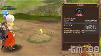 龙之谷新时装怎么选？2026限定款外观与属性深度测评