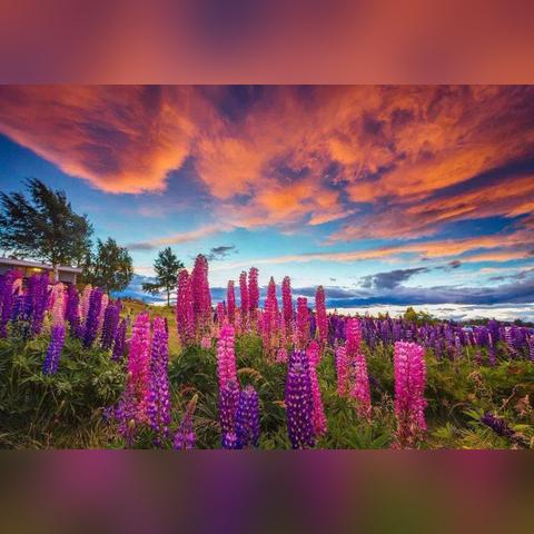 覆雪之上叙事模拟经营，打造阿尔卑斯雪山传奇