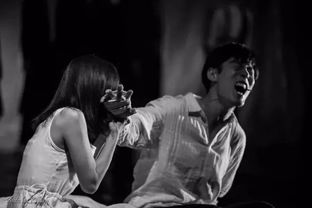 痴情司MV剧情深度解析，秦彻角色曲背后的视觉隐喻与彩蛋揭秘