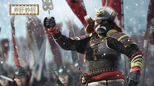 阿市夫人怎么玩？全面战争幕府将军外交内政全攻略