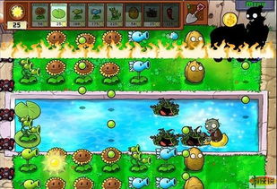 植物大战僵尸OL版平民逆袭攻略，零氪金通关与顶级阵容详解