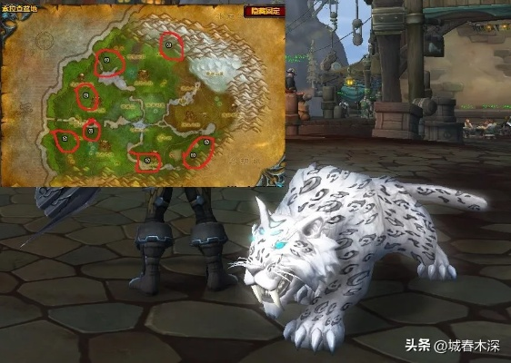 2026魔兽猎人宠物怎么选？稀有灵魂兽与输出之王推荐