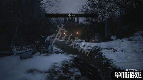 数毛社谈生化危机9PC版，优化出色，却仍存遗憾点