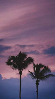 2026必看，稀缺绝美锁屏壁纸合集，拯救你的手机桌面