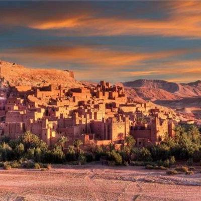 红色沙漠现不当互动引争议 玩家疑惑此类内容为何存在