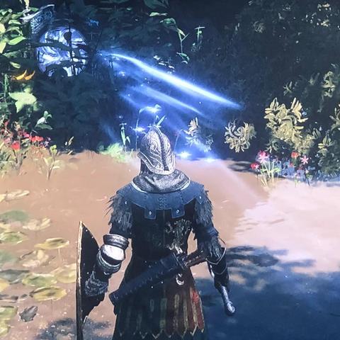 《艾尔登法环》迅闪老狮子快速击杀技巧揭秘