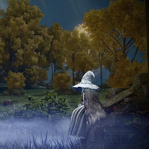 《艾尔登法环：揭秘全魔法师塔神秘解密攻略》